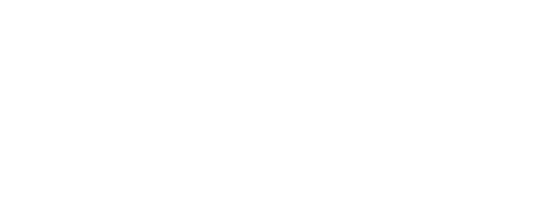 Leon DP