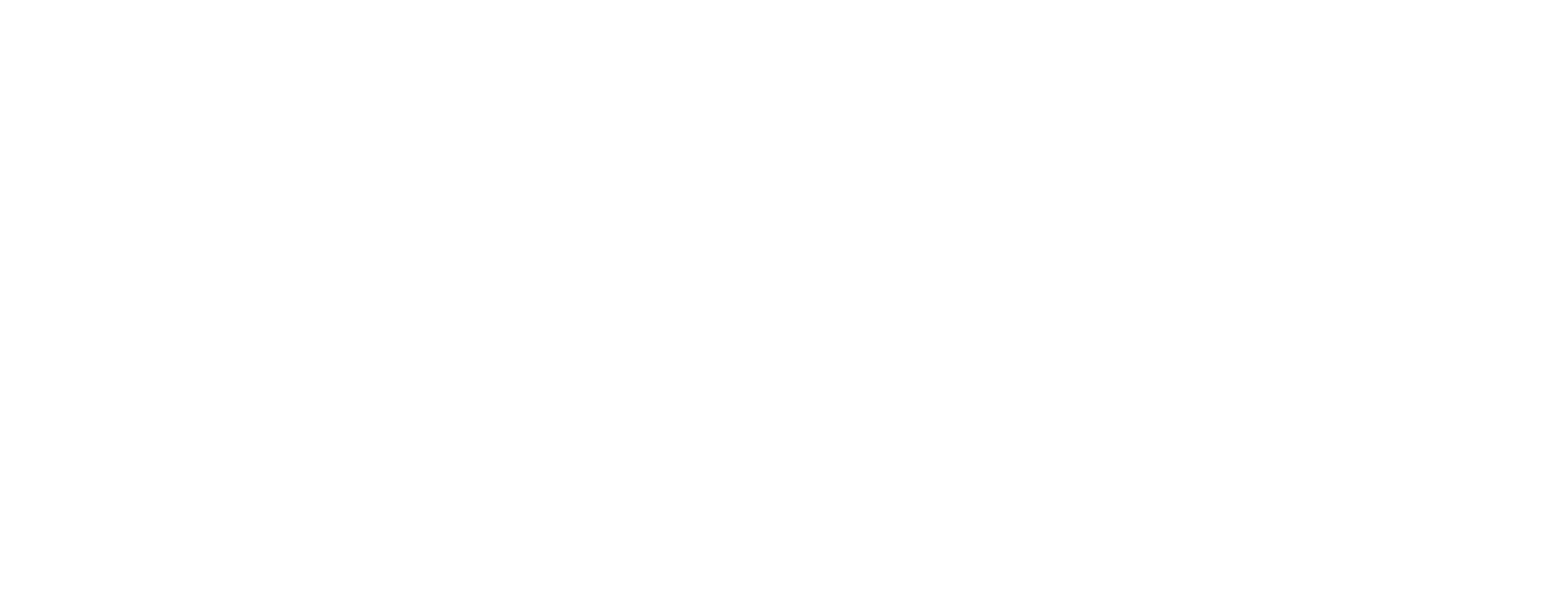 Leon DP